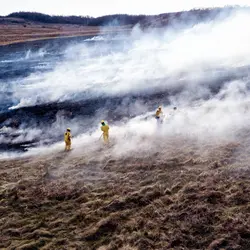 December 2017 (The Wilds)